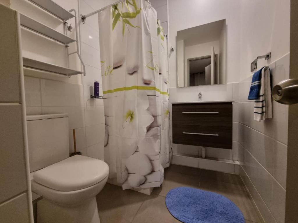 Departamento Safari Con Aire Acondicionado Y Parking Apartamento Rancagua